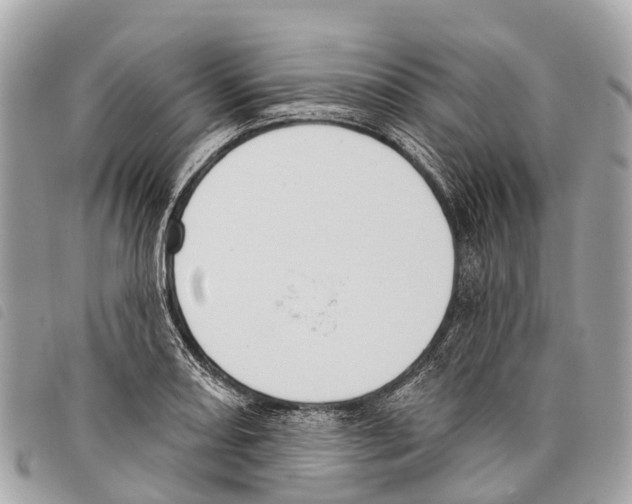 X0000097851082200804111123