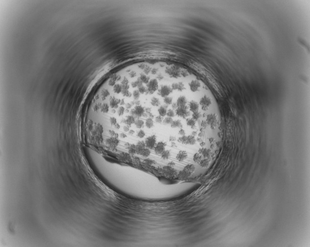 X0000097851083200804111123