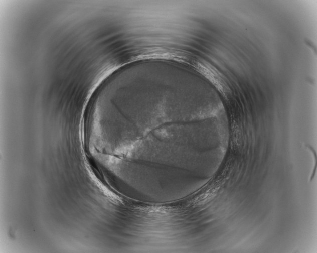 X0000097851084200804111123