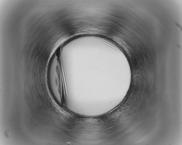 X0000097851085200804111123