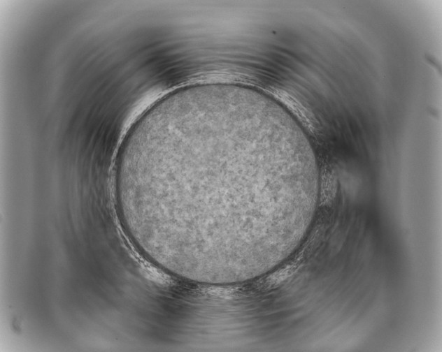 X0000097851086200804111123