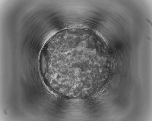 X0000097851087200804111123