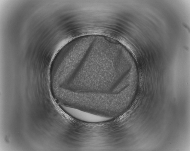 X0000097851088200804111123