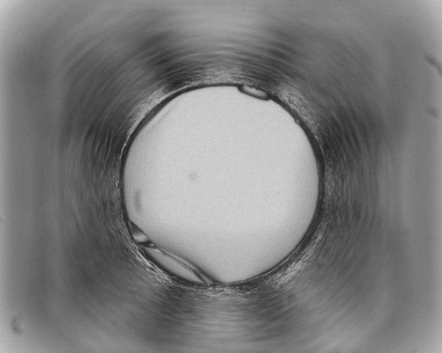 X0000097851089200804111123