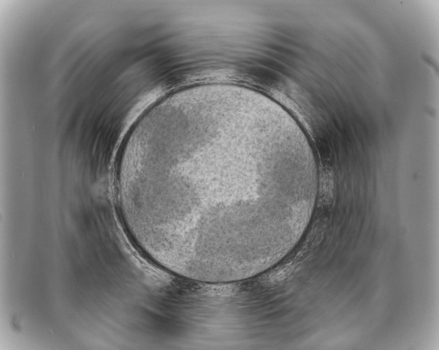 X0000097851090200804111123