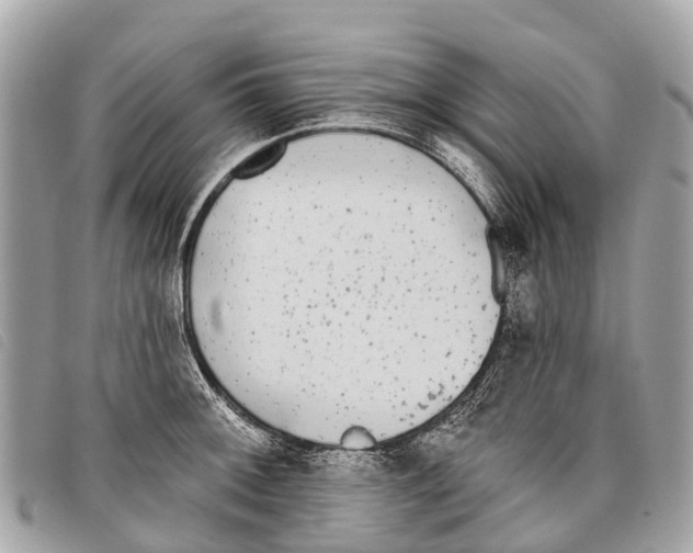 X0000097851092200804111123