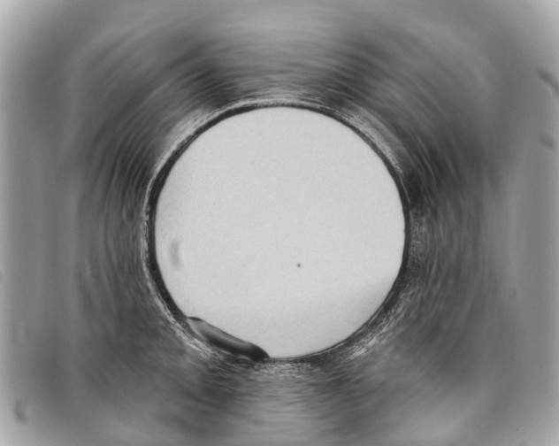 X0000097851093200804111123