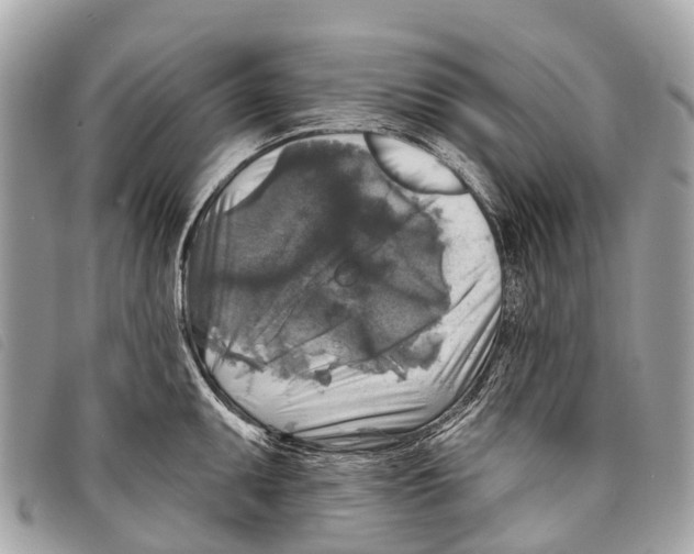 X0000097851095200804111123