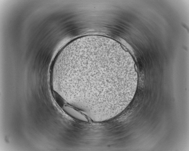 X0000097851096200804111123