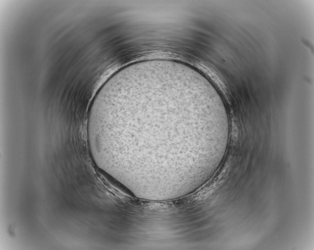 X0000097851097200804111123