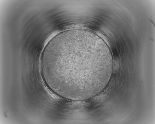 X0000097851098200804111123