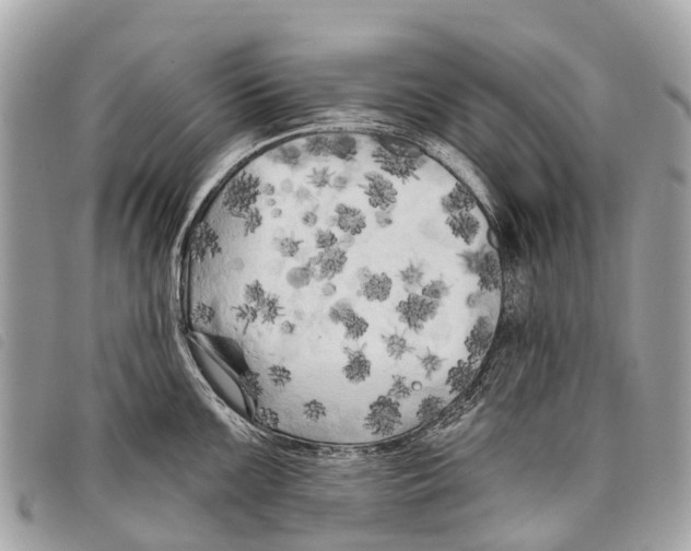 X0000097851099200804111123