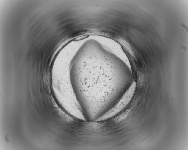 X0000097851100200804111123