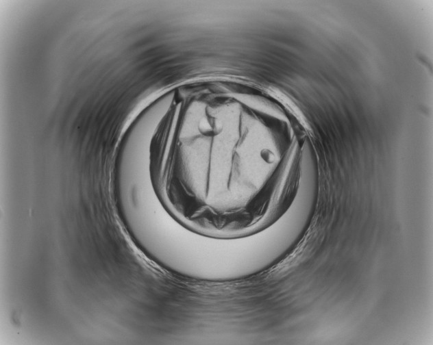 X0000097851101200804111123