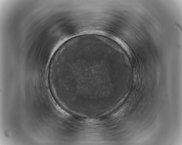 X0000097851102200804111123