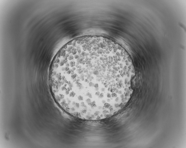 X0000097851103200804111123