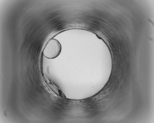 X0000097851104200804111123