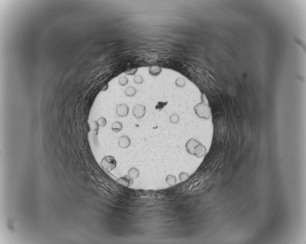 X0000097851105200804111122