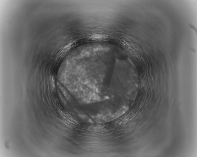 X0000097851106200804111122