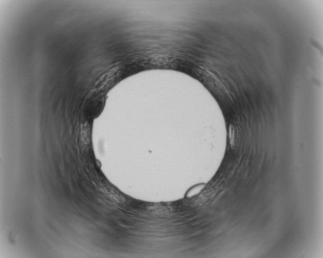 X0000097851107200804111122