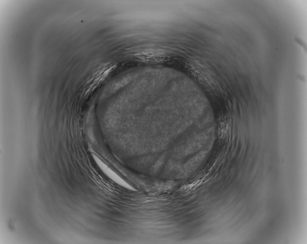 X0000097851108200804111122