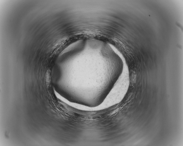 X0000097851110200804111122