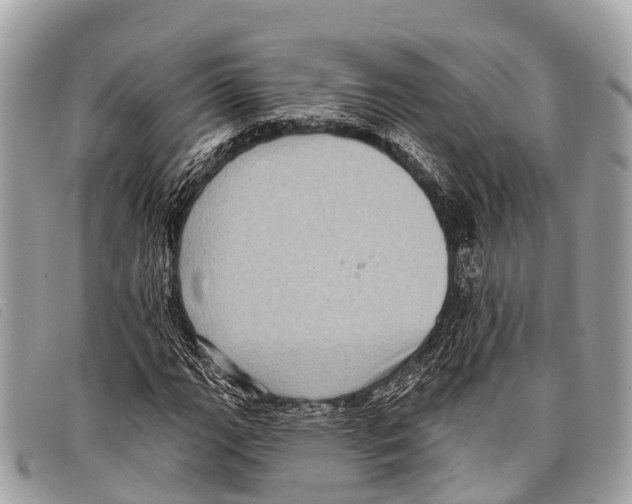 X0000097851111200804111122