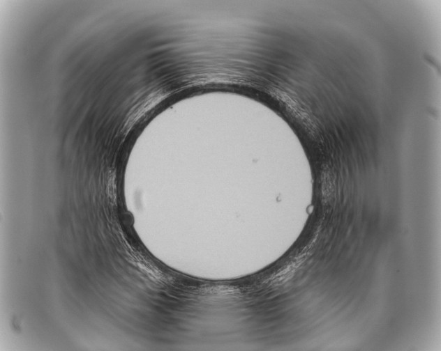 X0000097851113200804111122