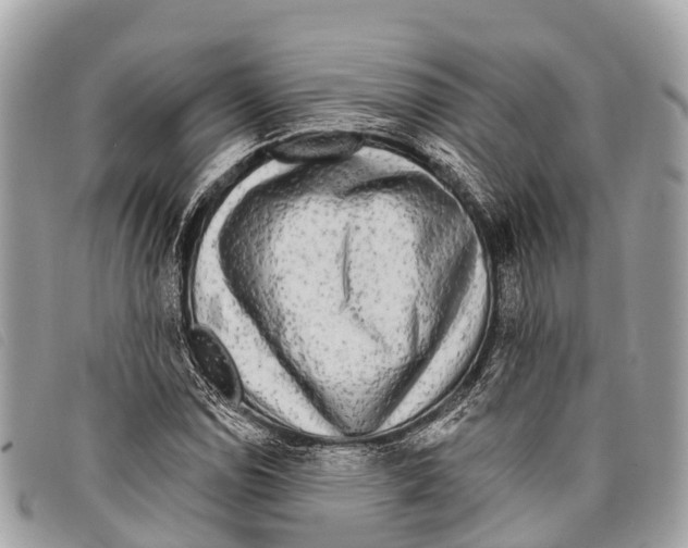 X0000097851114200804111122