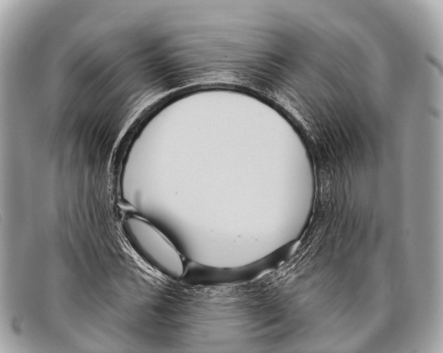 X0000097851116200804111122