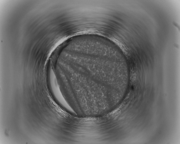 X0000097851118200804111122