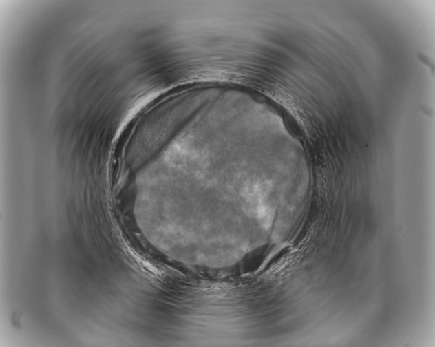 X0000097851120200804111122