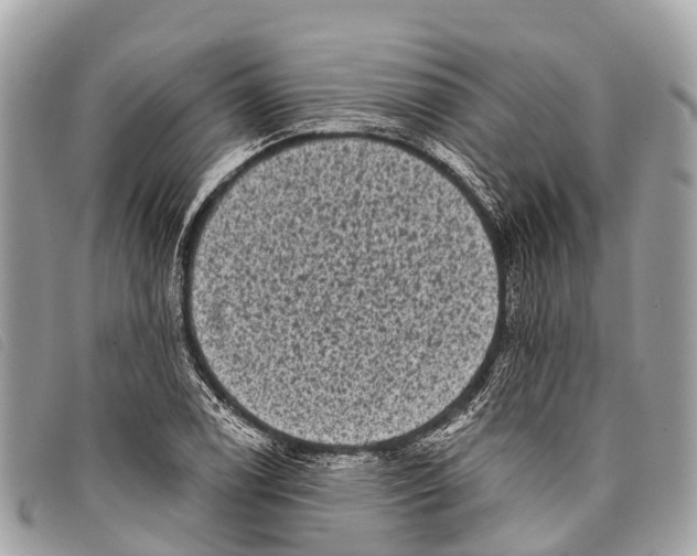 X0000097851122200804111122