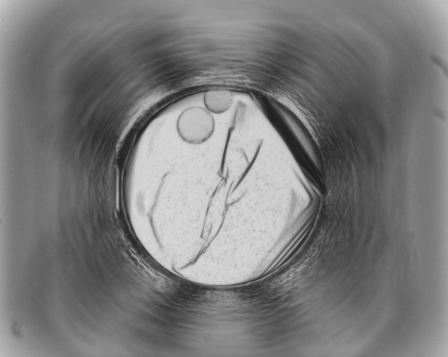 X0000097851123200804111122