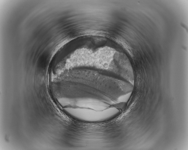 X0000097851125200804111122