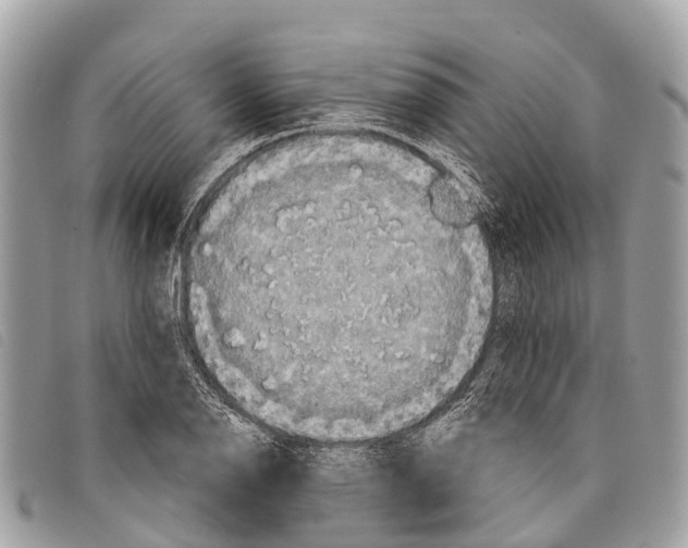 X0000097851126200804111122