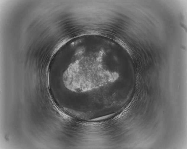 X0000097851127200804111122