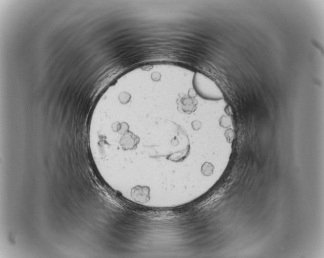 X0000097851129200804111122