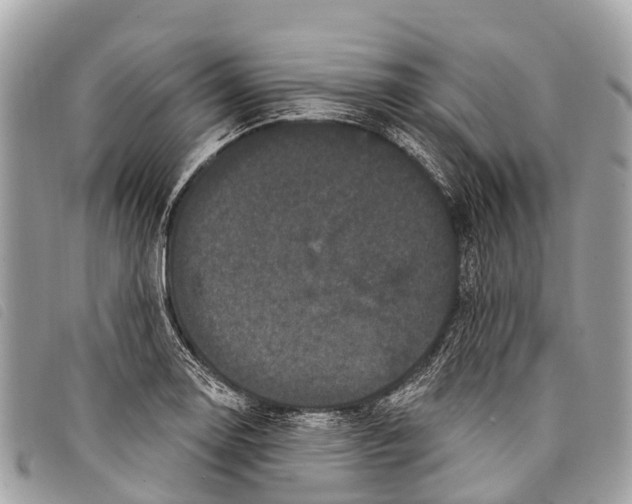 X0000097851130200804111122