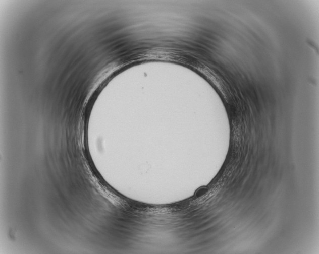 X0000097851131200804111122