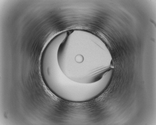 X0000097851132200804111122