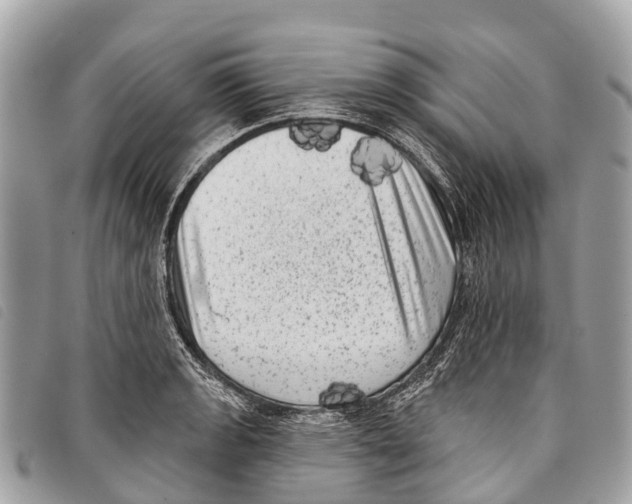 X0000097851133200804111122