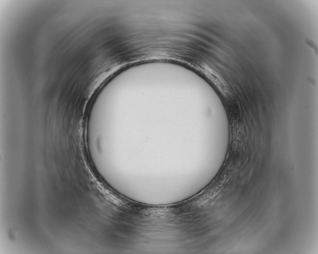 X0000097851134200804111122