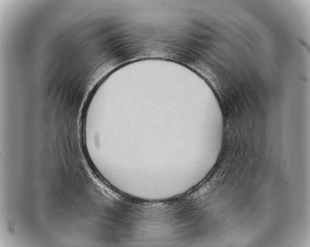 X0000097851135200804111122