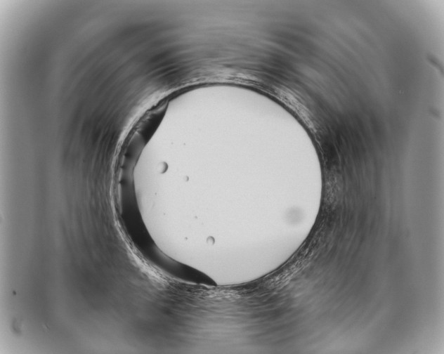 X0000097851136200804111122