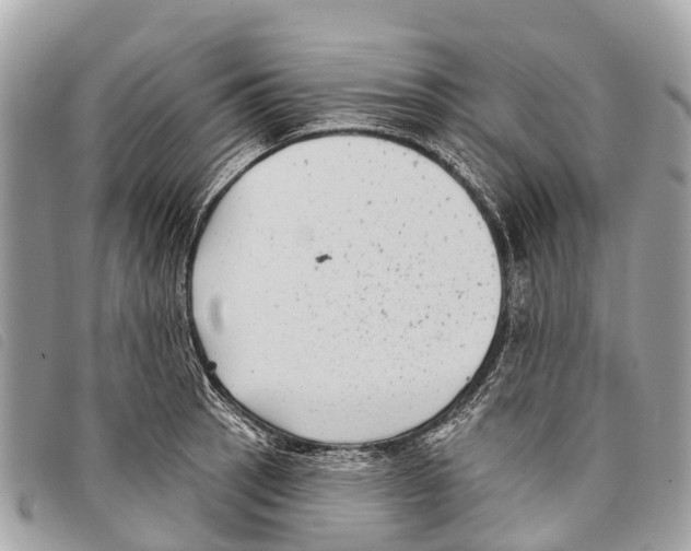 X0000097851137200804111122