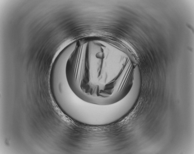 X0000097851138200804111122