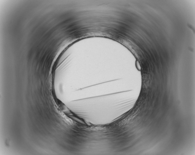 X0000097851140200804111122