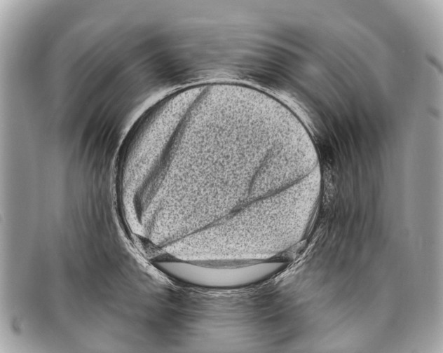 X0000097851142200804111122