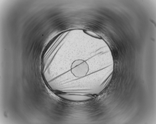 X0000097851143200804111122